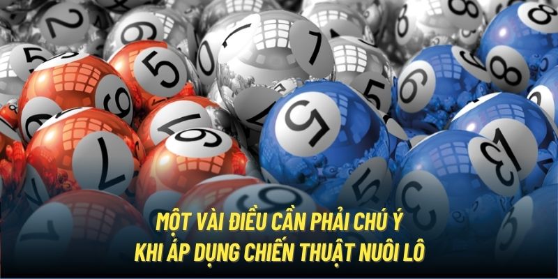 Một vài điều cần phải chú ý khi áp dụng chiến thuật nuôi lô