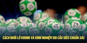 Cách Nuôi Lô Khung Và Kinh Nghiệm Soi Cầu Siêu Chuẩn Xác